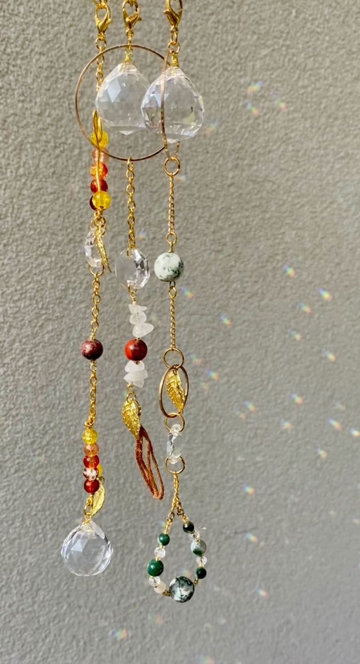 Collection Evola - célèbre la beauté du changement. 🍁