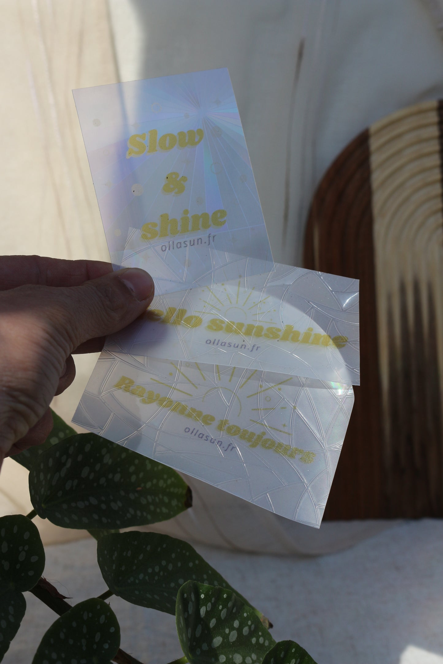 Lot de 3 stickers ⭐️ -Attrape soleil - Suncatcher - Capteur de soleil - Créateur d'arc en ciel