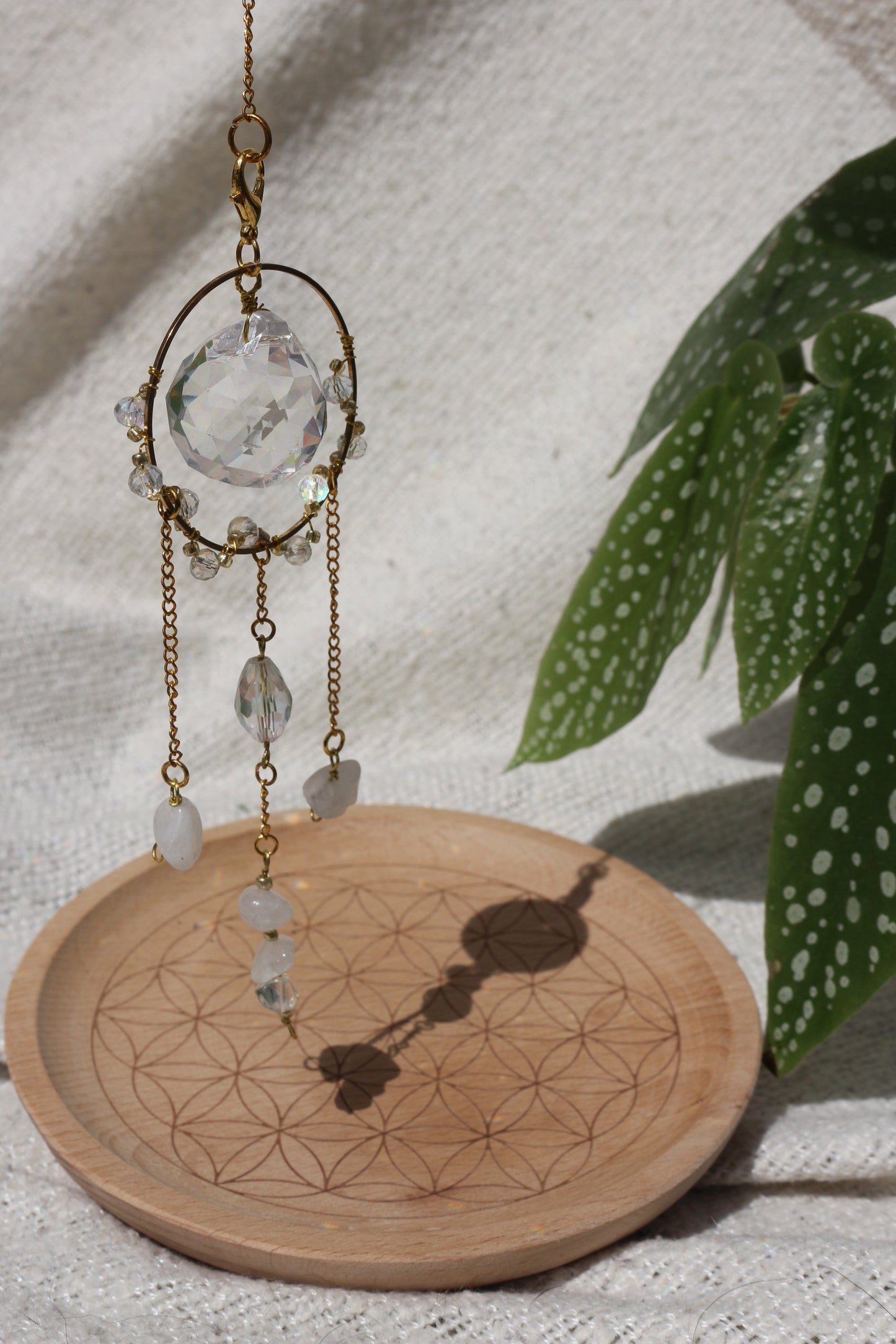
OLLASUN est une marque artisanale française née du désir profond de ralentir, de reconnecter à soi et de réenchanter le quotidien.

Nos suncatchers – ou attrape-soleil – transforment les rayons du soleil en reflets arc-en-ciel, apportant paix, magie et énergie douce aux intérieurs.