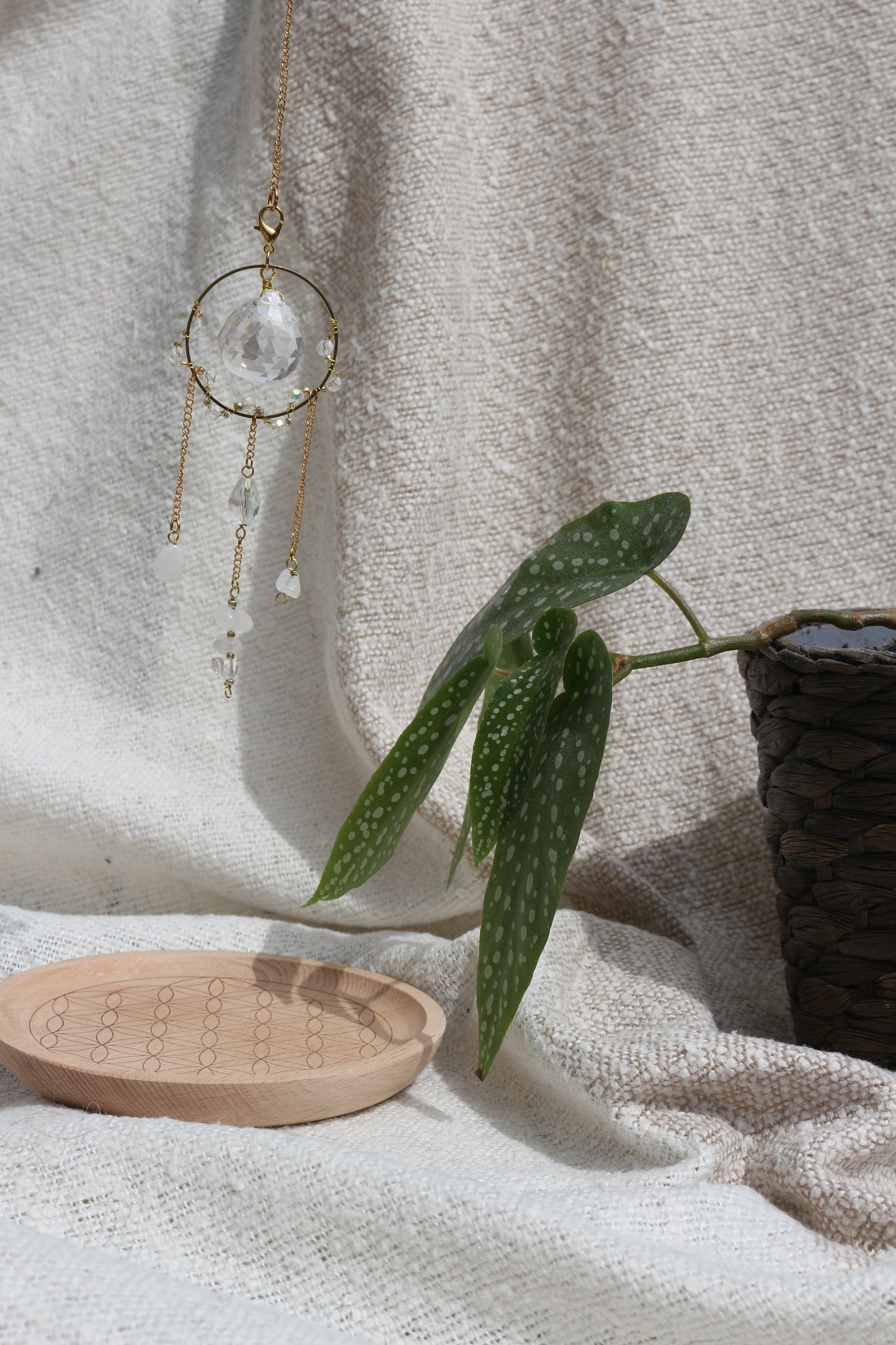 Découvrez OLLASUN, des suncatchers artisanaux inspirés par la nature et la lumière pour illuminer votre intérieur avec magie, douceur et bien-être. Créés à la main en France, nos capteurs de soleil apportent des arcs-en-ciel et une touche spirituelle à votre quotidien.